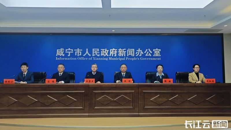 咸宁网站建设行业动态分析